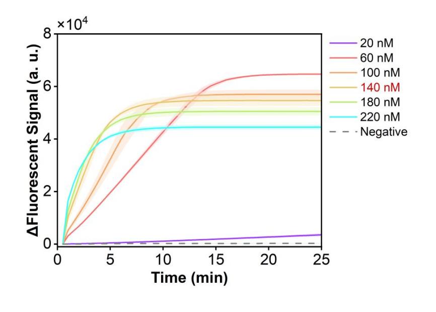 Figure 46 shows the fluorescence curves for optimization of the optimal RNP concentration of the simulated plasmid carrying the HI-ompP6 gene in the RPA-CRISPR system.