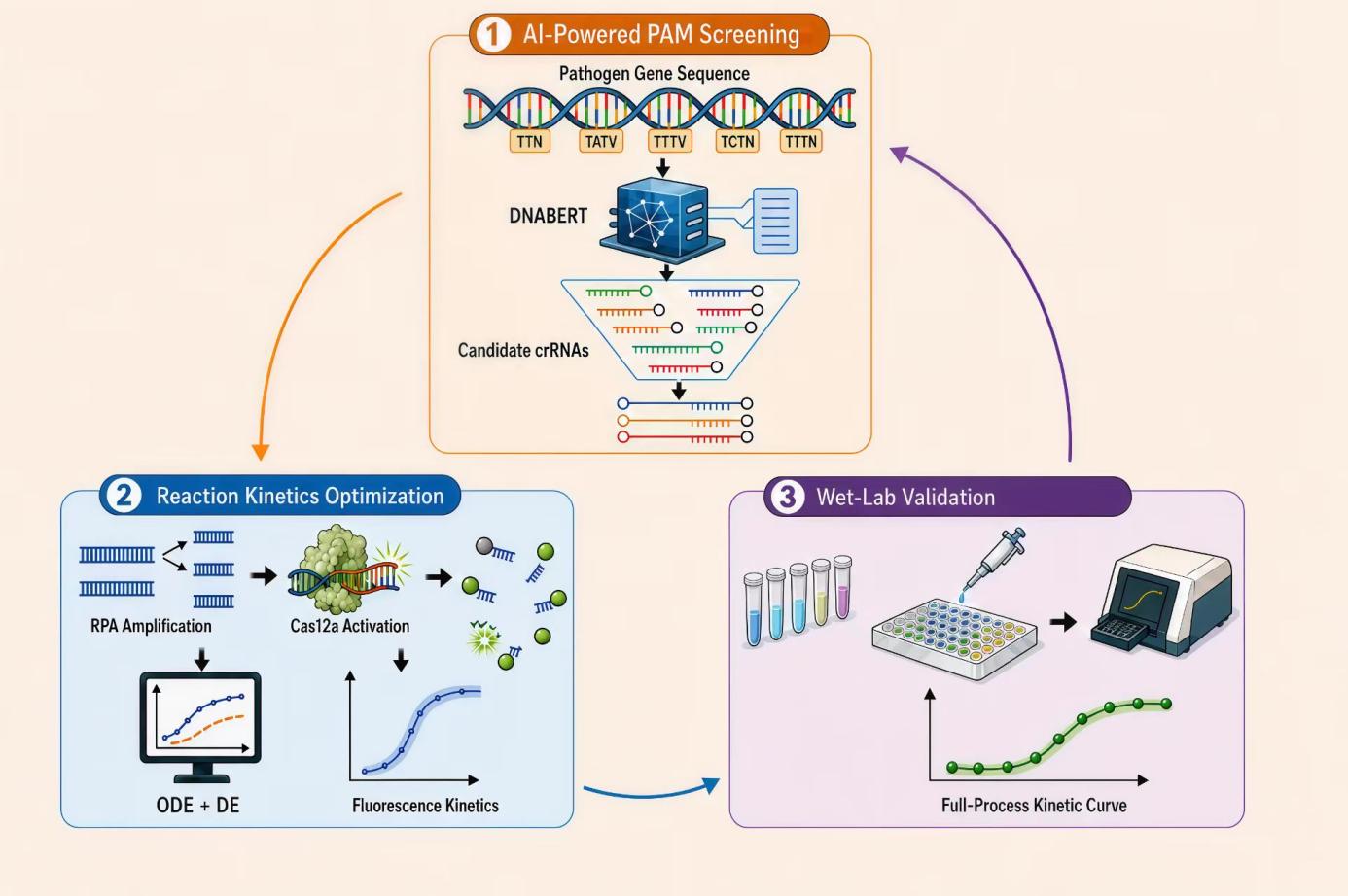 Overall workflow of the study