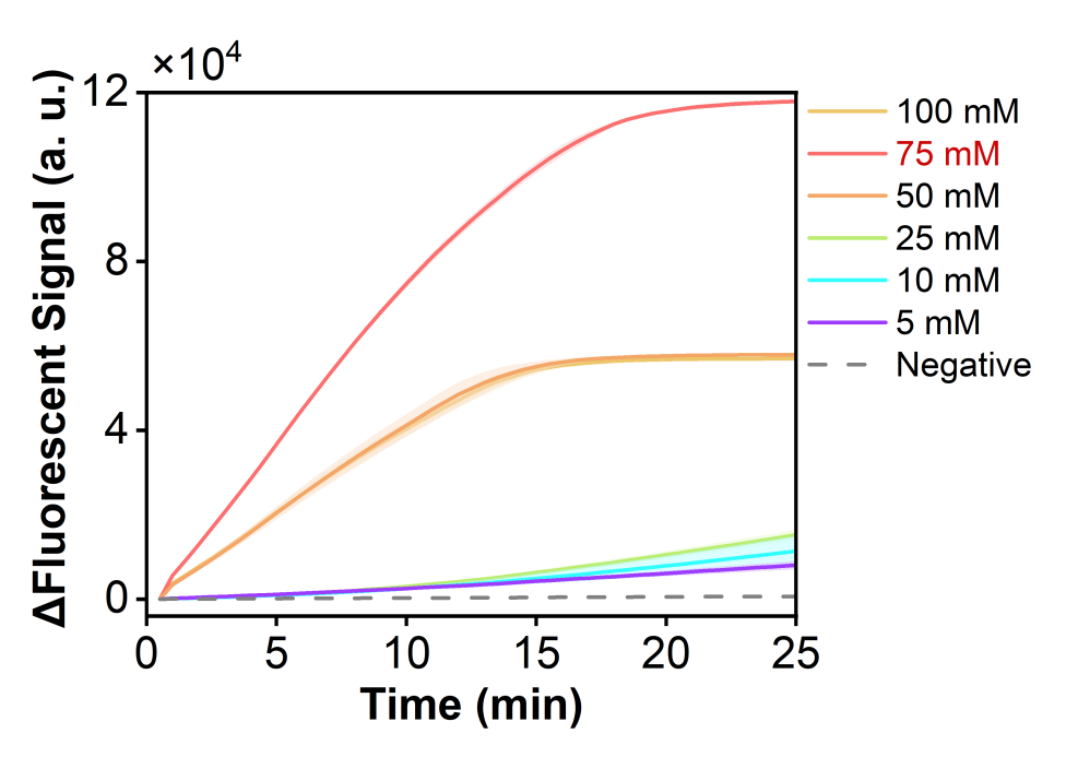 Figure 27 shows the fluorescence curves for optimization of the optimal Mg2+ concentration of the simulated plasmid carrying the SPN-lytA gene in the RPA-CRISPR system.