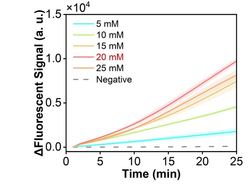 Figure 5 shows the fluorescence curves for optimization of the optimal Mg2+ concentration of the simulated plasmid carrying the RSV N gene in the RPA-CRISPR system.