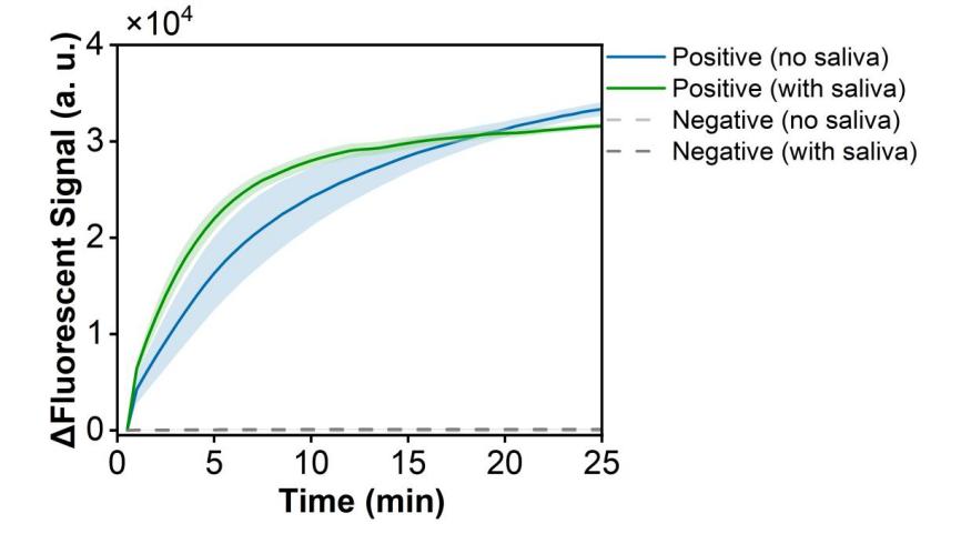 Figure 32 shows the fluorescence curves used to evaluate resistance to matrix interference of the RPA-CRISPR system for the simulated plasmid carrying the SPN-lytA gene.