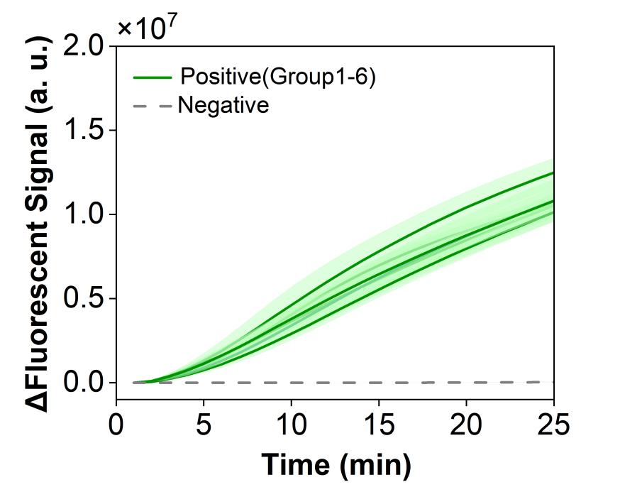 Figure 20  Overlay of fluorescence curves from six parallel experiments evaluating reproducibility of the RPA-CRISPR system toward a model plasmid carrying the hMPV-B N gene