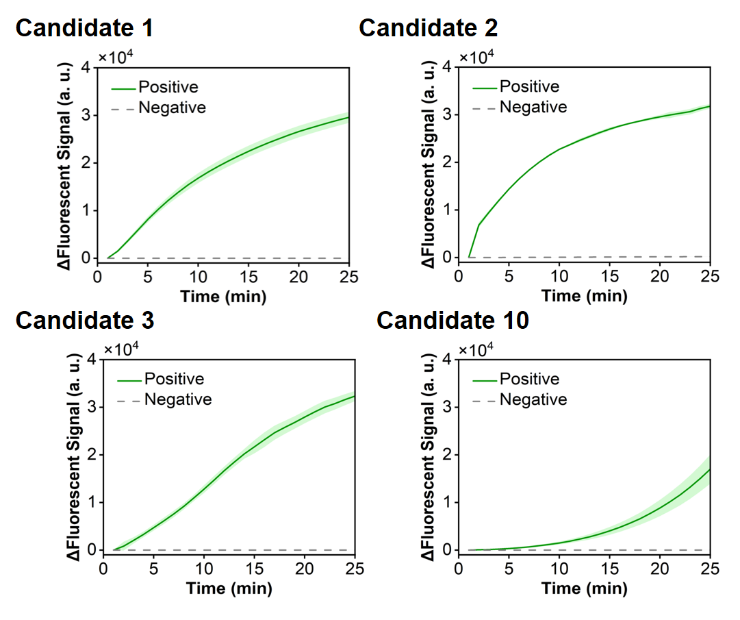 Figure 5  Fluorescence Curves from Optimization of RSV Candidate Primer-crRNA Combinations