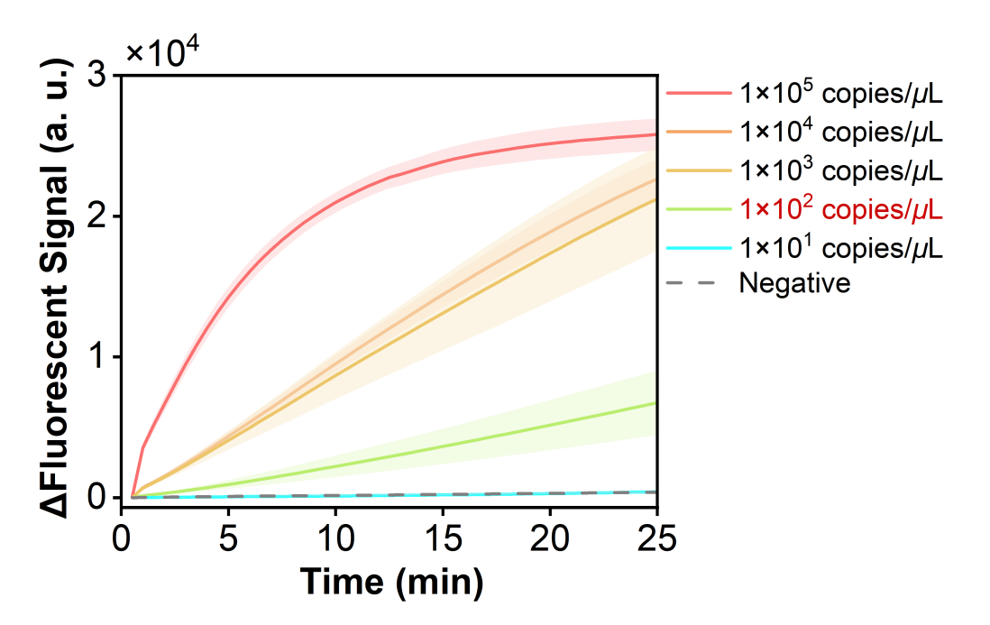 Figure 22  Fluorescence curves for evaluating the sensitivity of the RPA-CRISPR system toward a model plasmid carrying the SPN-lytA gene