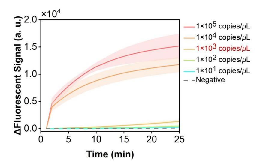 Figure 50 shows the fluorescence curves used to evaluate the sensitivity of the RPA-CRISPR system for the simulated plasmid carrying the HI-ompP6 gene.