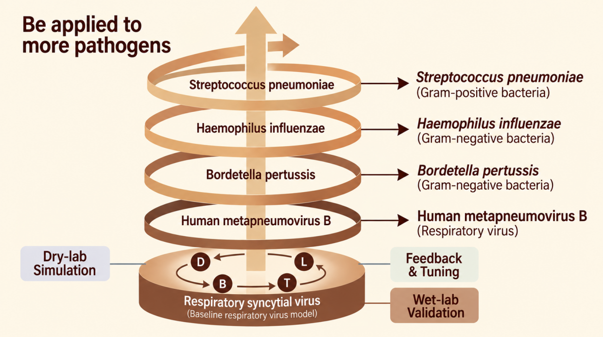 Figure 2 Logical diagram of the closed-loop iterative workflow for the detection project targeting five respiratory pathogens based on the DBTL cycle1