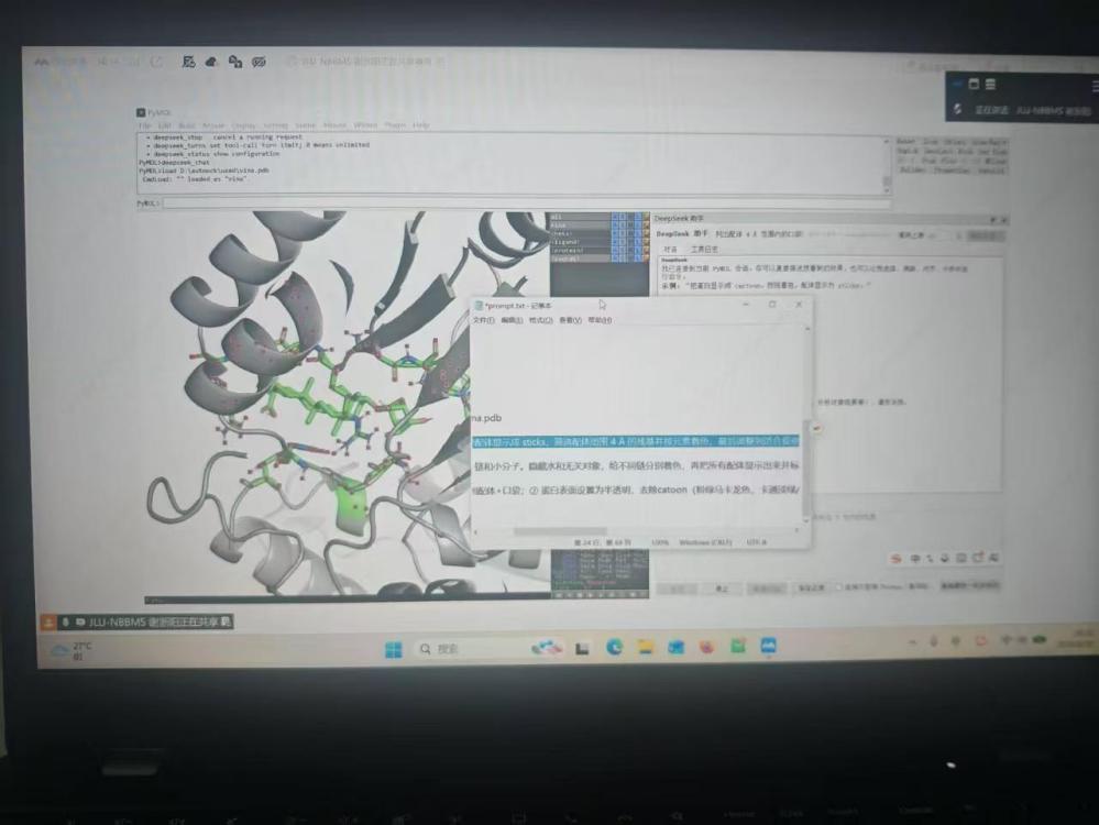 Protein visualization during dry-lab learning.