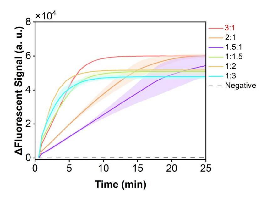 Figure 45 shows the fluorescence curves for optimization of the optimal RNP ratio of the simulated plasmid carrying the HI-ompP6 gene in the RPA-CRISPR system.