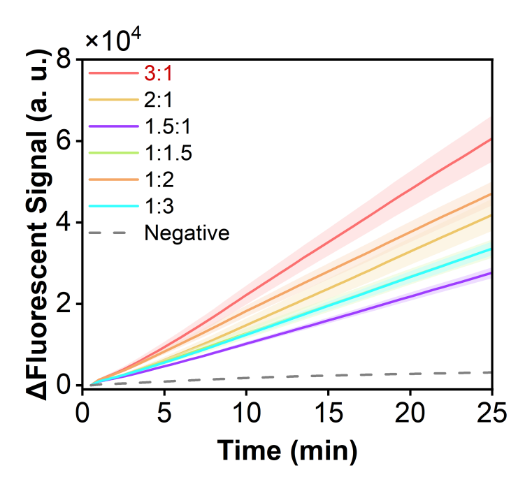 Figure 25 shows the fluorescence curves for optimization of the optimal RNP ratio of the simulated plasmid carrying the SPN-lytA gene in the RPA-CRISPR system.