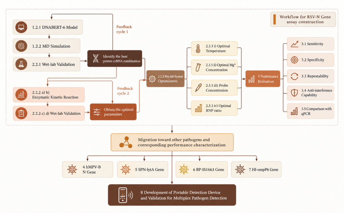 Interactive Measurement workflow from the supplied manuscript