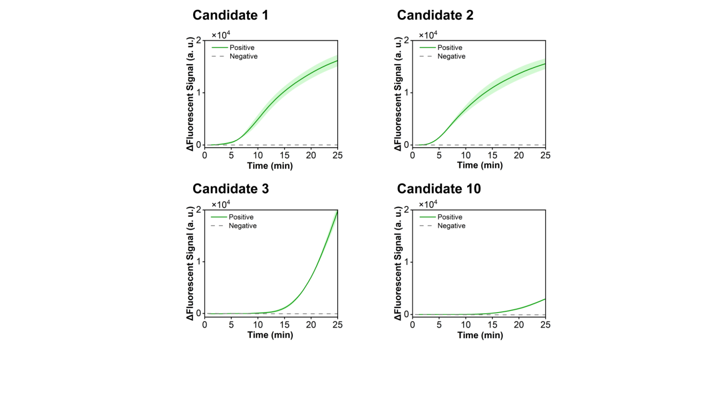 Figure 23 shows the fluorescence curves used to optimize candidate primer-crRNA combinations targeting the SPN-lytA gene.