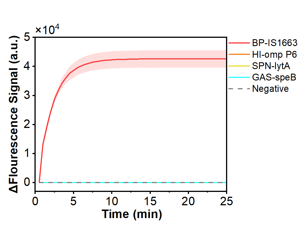 Figure 28  Fluorescence curves for evaluating the specificity of the RPA-CRISPR system toward a model plasmid carrying the BP-IS1663 gene
