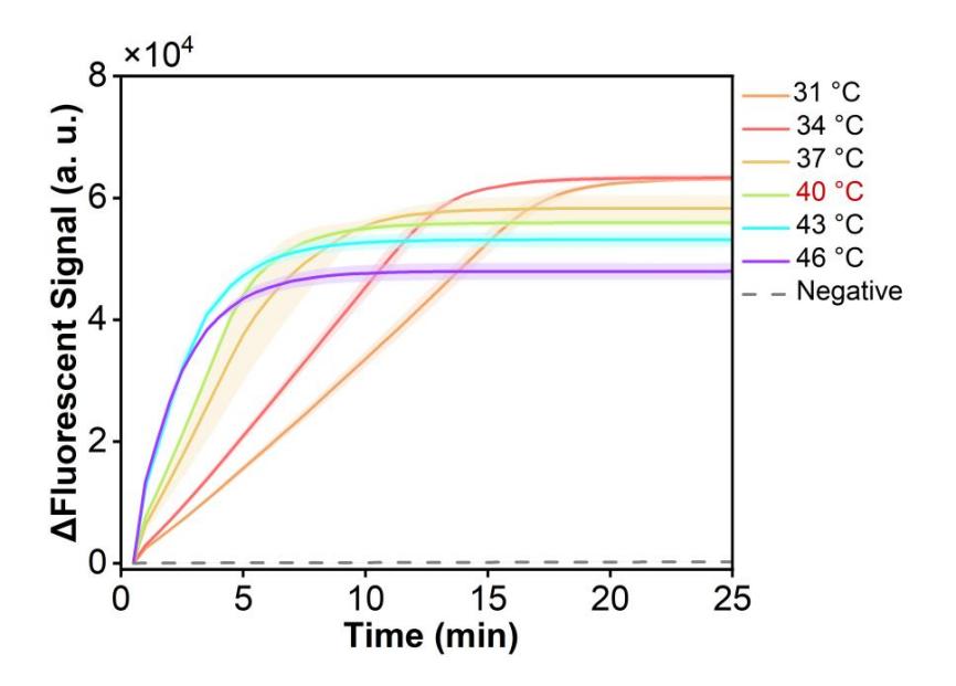 Figure 44 shows the fluorescence curves for the optimal reaction temperature of the simulated plasmid carrying the HI-ompP6 gene in the RPA-CRISPR system.