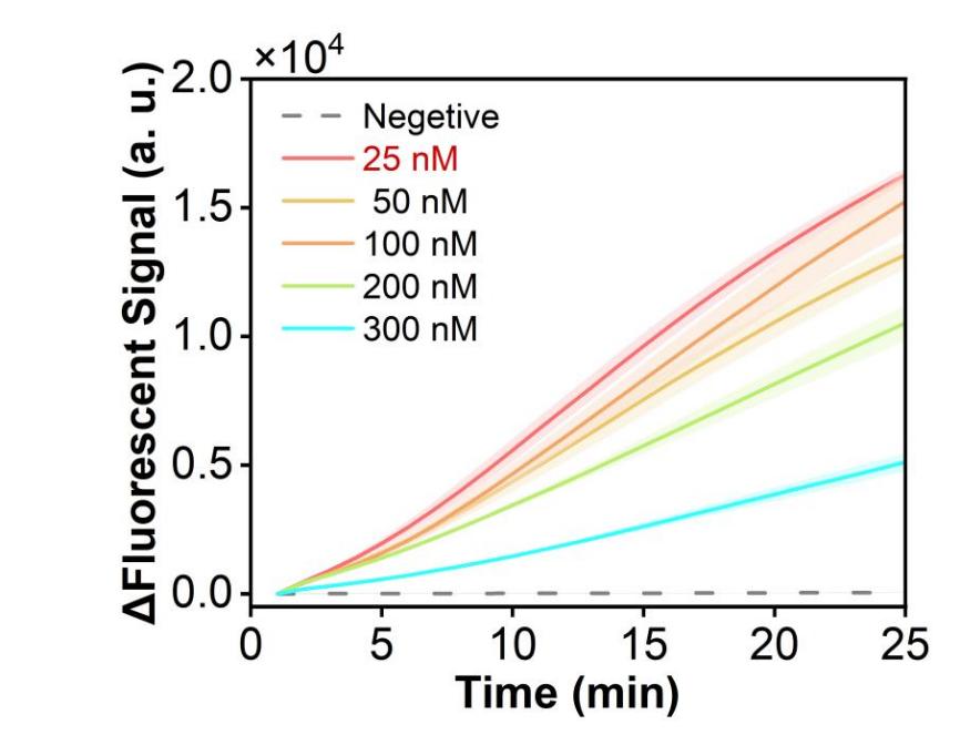 Figure 4 shows the fluorescence curves for optimization of the optimal RNP concentration of the simulated plasmid carrying the RSV N gene in the RPA-CRISPR system.
